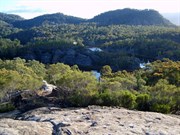 Pagoda Lookout Dunns Swamp