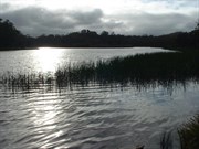 Dunns Swamp
