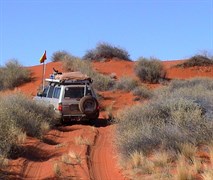 Spinifex Dune, QAA Line
