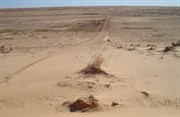 Looking West from the last Rig Rd Dune