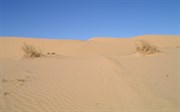 Last dune on The Rig Road