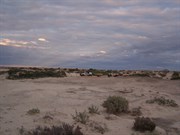 %252fimages%252fPlaces%252f77833_0__TN800.jpg