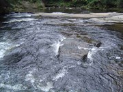 Rapids at Aire Crossing