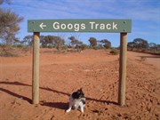 Goog's Track Turn Off