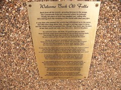 The Cunnamulla Fella
