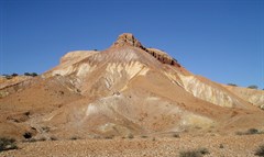 The Painted Desert - Desert Diversity 