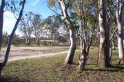 Baan Hill Reserve