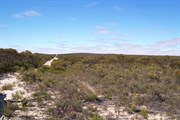 Border Track (SA)
