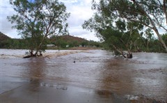 Moondarra Caravan Park