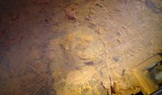 Ancient Footprints