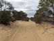 The Track South to Rocket Lake 