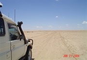Birdsville%2bInside%2bTrack
