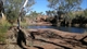 Eagle Rock Pool 