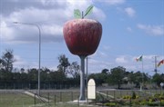 The Big Apple at Thulimbah