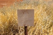 Geraldton Bore