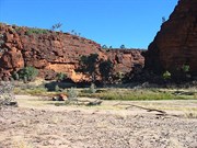 Ellery Creek - Photo by Chris. Michele. Sam & Olivia