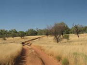 Off river track near the dusty section