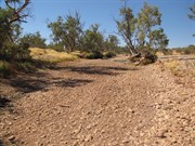 Dry crossing May 09
