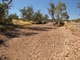 Dry crossing May 09