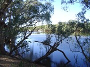 Nicholson River
