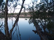 Kingfisher Camp Waterhole