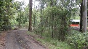 Bellbird Rest Area exit