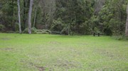 Bellbird Rest Area