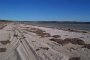 Shelly Beach