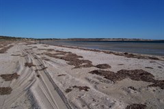 Shelly Beach Caravan Park - Shelly Beach 