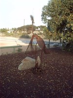 Shelly Beach Caravan Park 