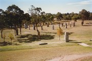 Glen Innes Standing Stones in the Celtic Park (1996)
