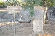 Kings Marker