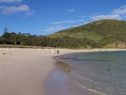 Ned's Beach