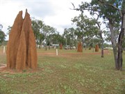 Camping among the termite  mounds