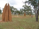 Camping among the termite  mounds