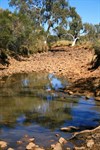 The Tchukardine Pool