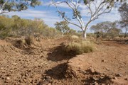 Tchukardine Pool - July 4th 2009