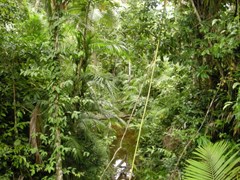Tam O'Shanter National Park