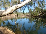 Wearyan Waterhole and Falls