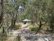 BBQ area near viewing platform. 