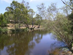 Wannon Falls Reserve - Near the top of the falls. 