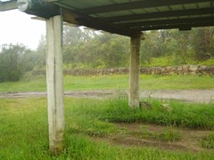 Bulls Camp
