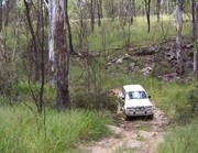 Starkvale Creek Track
