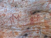 Rock art a 15min walk from campsite