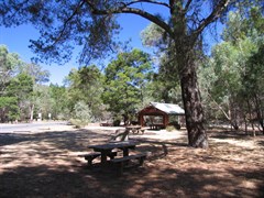 Zumstein Picnic Area