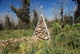 Forest%2bHill%2bCairn