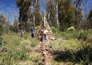 Forest Hill Cairn 2