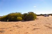 Tallaringa Native Well