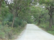 Deep Creek Conservation Park