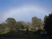 Rare fog bow